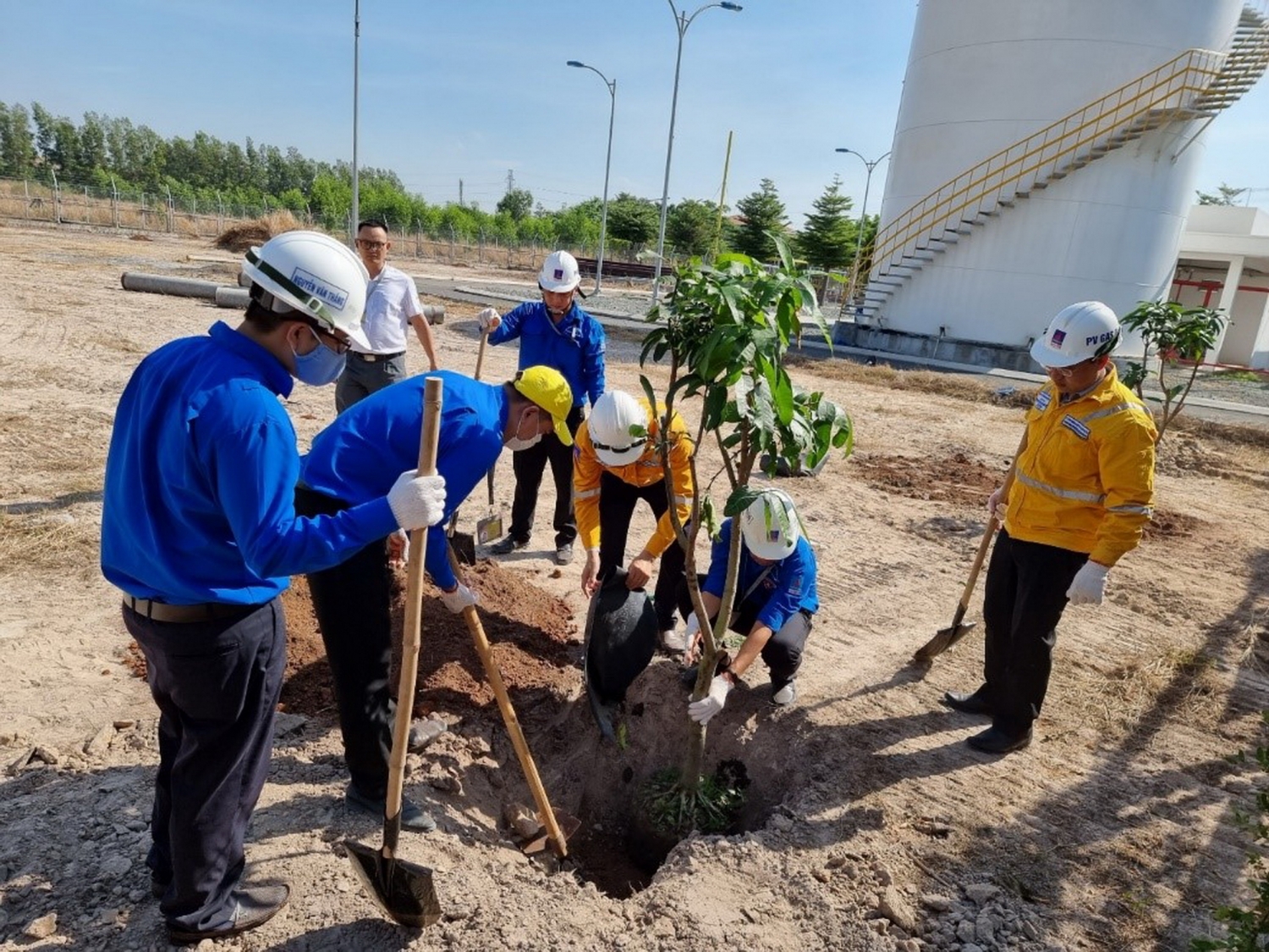 Trong chương trình, các đoàn viên, thanh niên và CBCNV Xí nghiệp đã thực hiện trồng 60 cây xoài cát Hòa Lộc 