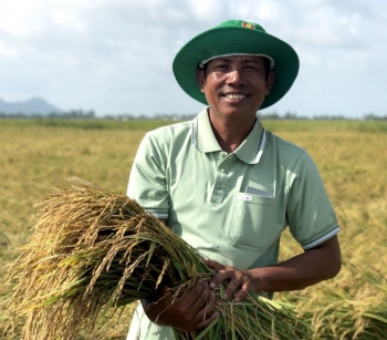 Đạm Cà Mau – Đồng hành cùng nông dân trên từng mảnh vườn, thửa ruộng