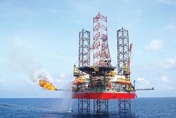 Cổ phiếu dầu khí tăng mạnh phiên đầu tuần, PVD tăng trần