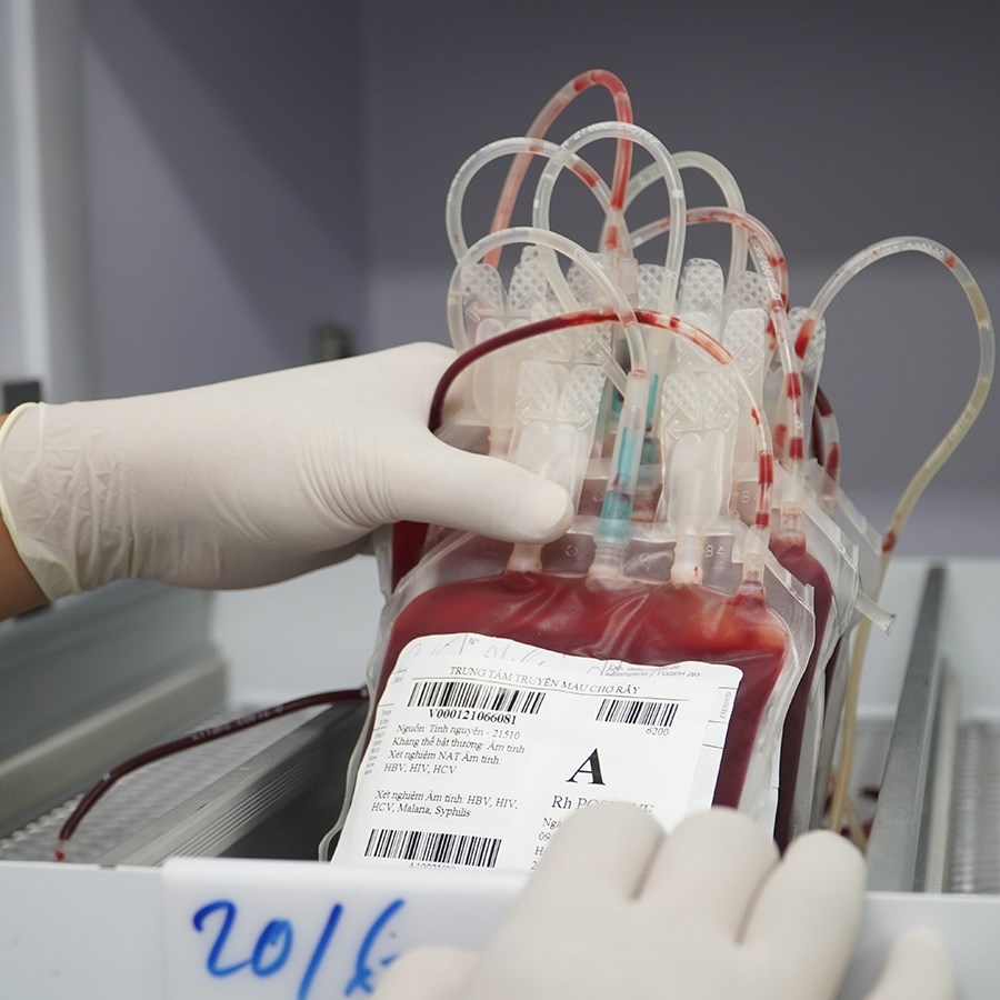TP HCM kêu gọi chung tay hiến máu cứu người khi lượng máu dự trữ gần chạm đáy