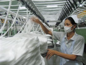 Tận dụng TPP để phát triển thị trường cho doanh nghiệp Việt