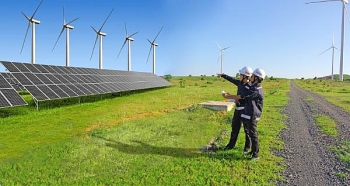 FECON tiếp tục trúng thầu dự án điện gió giá trị hơn 430 tỷ đồng