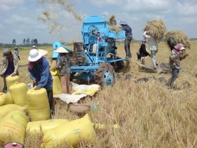 Có nên theo đuổi “danh hiệu” xuất khẩu gạo hàng đầu thế giới?