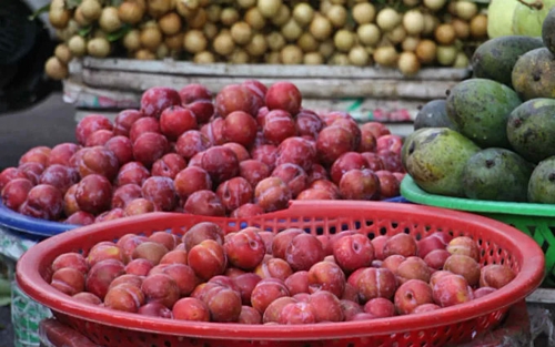 Hơn 114.000 tấn rau quả Trung Quốc đổ về chợ đầu mối