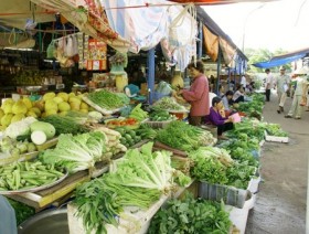 TP HCM: Giá rau xanh tăng mạnh vì mưa bão