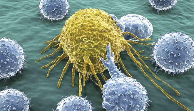 Kích hoạt hệ thống miễn dịch cơ thể để tấn công ung thư