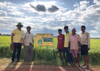 Đạm Cà Mau đóng góp quan trọng cho ngành nông nghiệp Campuchia