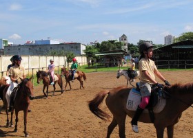 Cưỡi ngựa thể thao ở Sài Gòn
