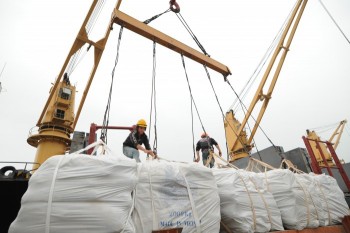 TPP: Xuất khẩu gạo khó tăng trưởng