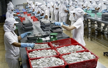 Tăng trưởng mạnh xuất khẩu mực, bạch tuộc Việt Nam sang Mỹ