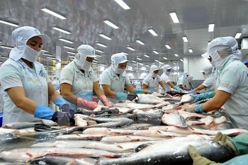 Xuất khẩu cá tra sang Malaysia tăng hơn 20%