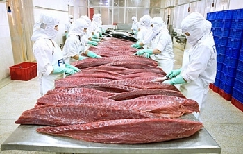 Xuất khẩu cá ngừ tiếp tục giảm trong tháng 10