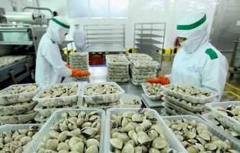 Việt Nam tăng xuất khẩu nghêu, sò sang EU
