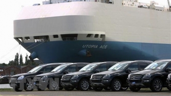 Từ ngày 24/1, ô tô chở người dưới 16 chỗ chỉ được nhập khẩu qua 6 cửa khẩu cảng biển