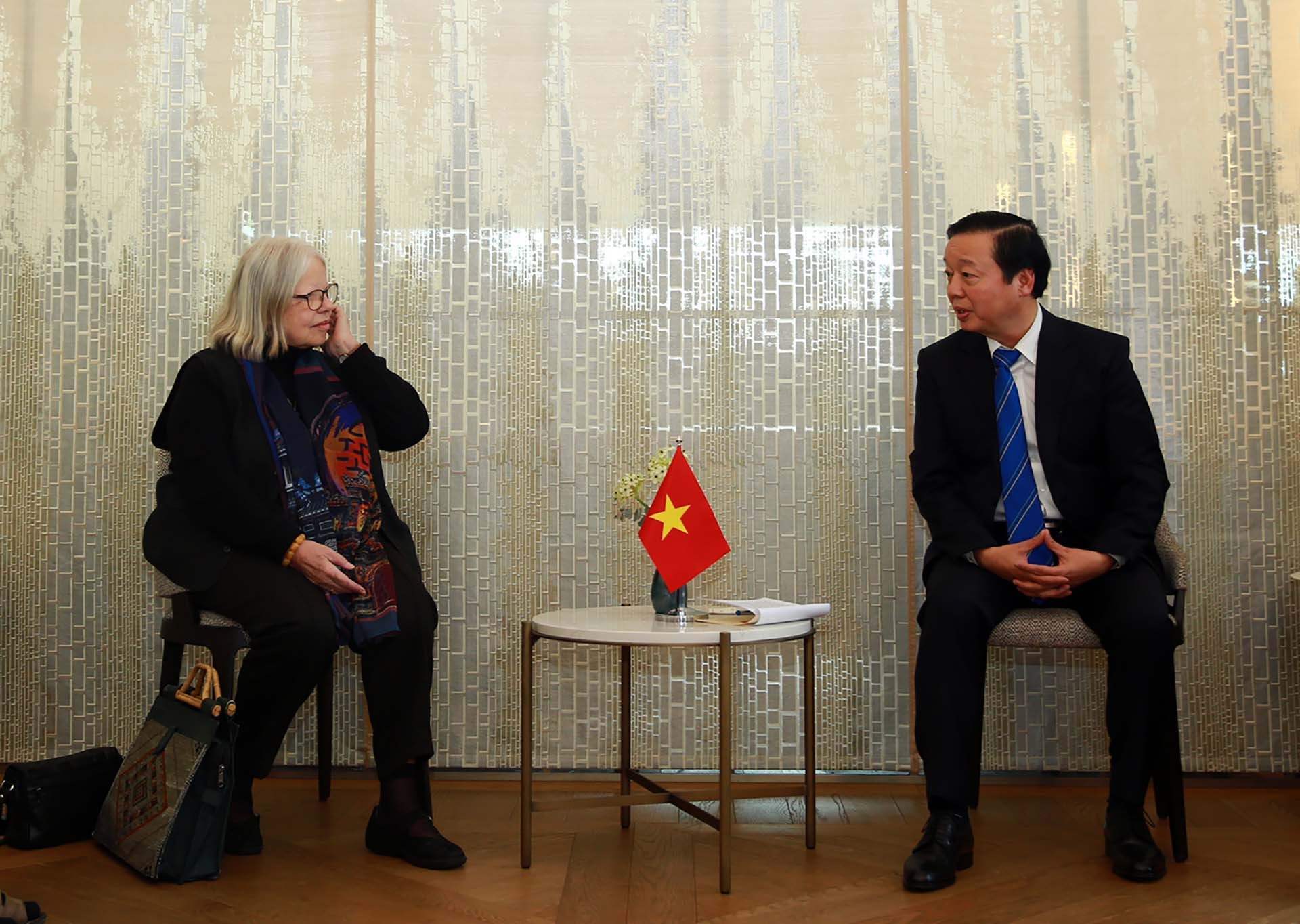 Phó Thủ tướng Trần Hồng Hà tiếp Chủ tịch Hội Hữu nghị Thụy Sỹ-Việt Nam Anjuska Weil.