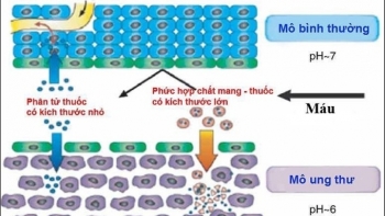 Việt Nam nghiên cứu phương pháp diệt tế bào ung thư thông minh, tiên tiến