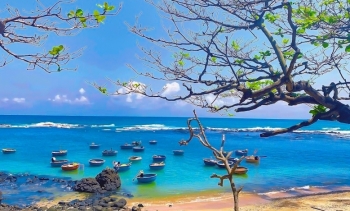 Quảng Ngãi: Bãi biển Châu Tân có vẻ đẹp hoang sơ ít người biết