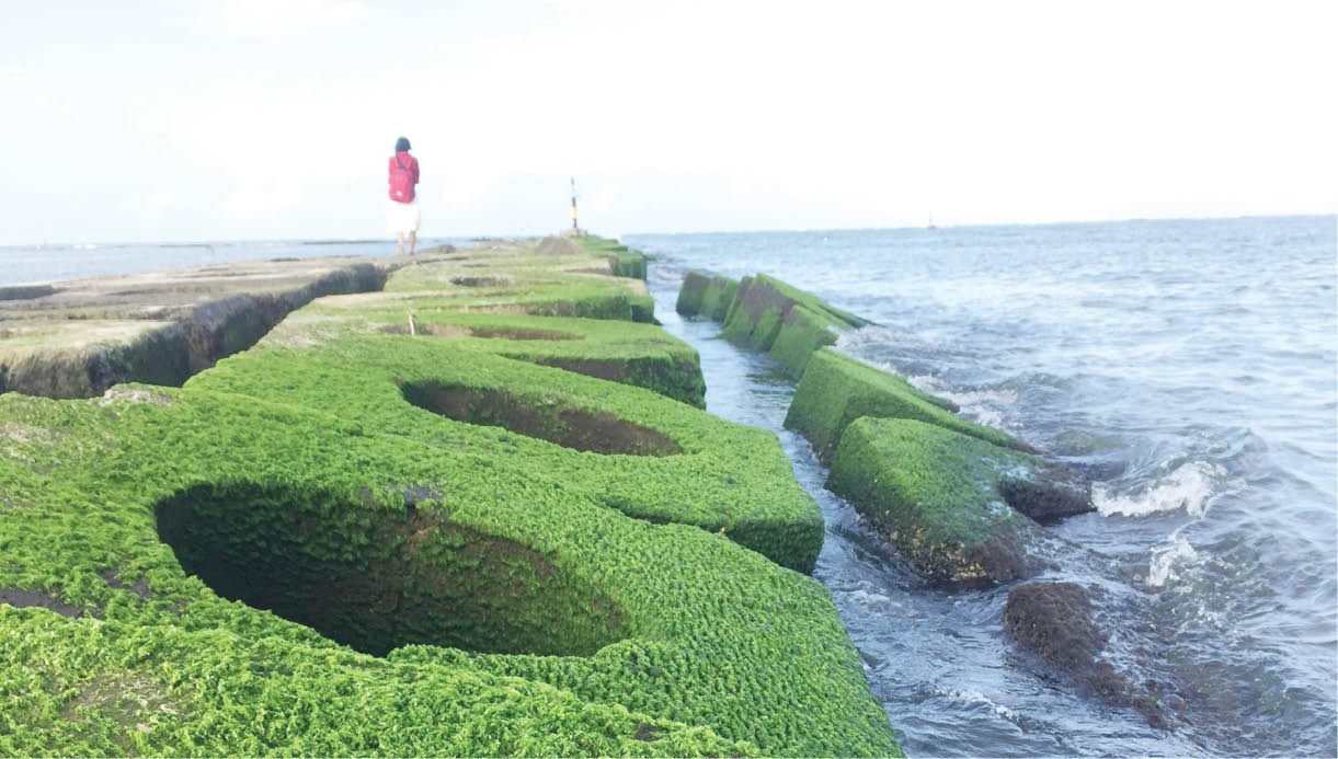 Thừa Thiên - Huế: Về biển ngắm rêu