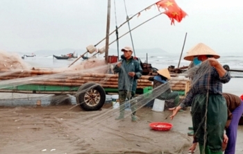 Ngư dân Thanh Hoá nô nức ra khơi đón lộc biển