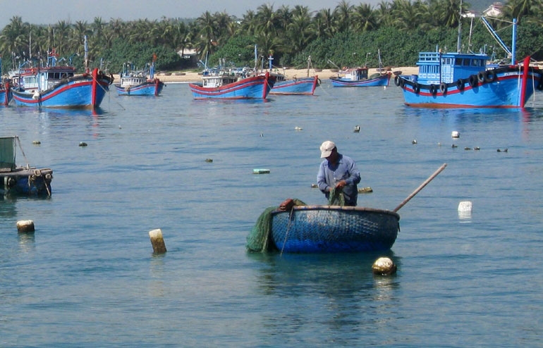 Phú Yên: Khai thác đi đôi với bảo vệ nguồn lợi thủy sản