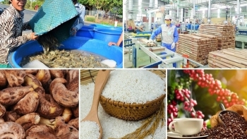 Hỗ trợ doanh nghiệp thúc đẩy xuất khẩu nông sản, thực phẩm sang Nhật Bản