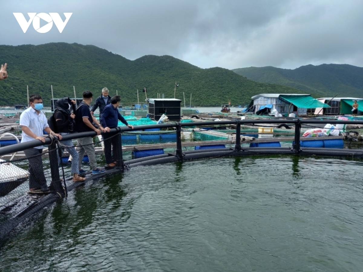 Khánh Hòa phát triển kinh tế biển bền vững gắn với sinh kế của cư dân