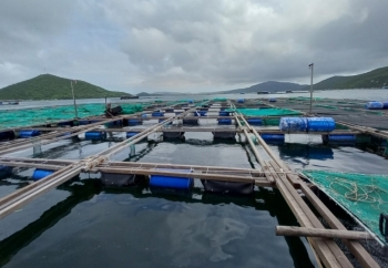 Khánh Hòa phát triển kinh tế biển bền vững gắn với sinh kế của cư dân