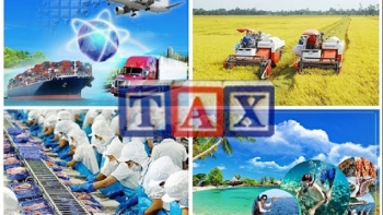 Tổng cục Thuế triển khai áp dụng mức thuế bảo vệ môi trường