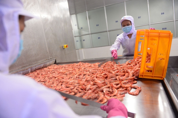Quy định mới của Trung Quốc về việc kiểm soát Covid-19 đối với thực phẩm lạnh nhập khẩu