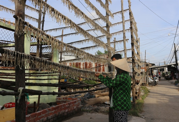 Bảo vệ nguồn lợi biển để đảm bảo sinh kế bền vững