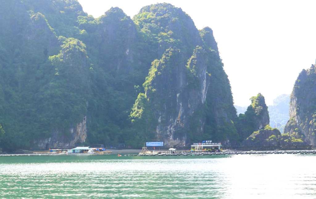 Quảng Ninh: Đảo Phất Cờ và 