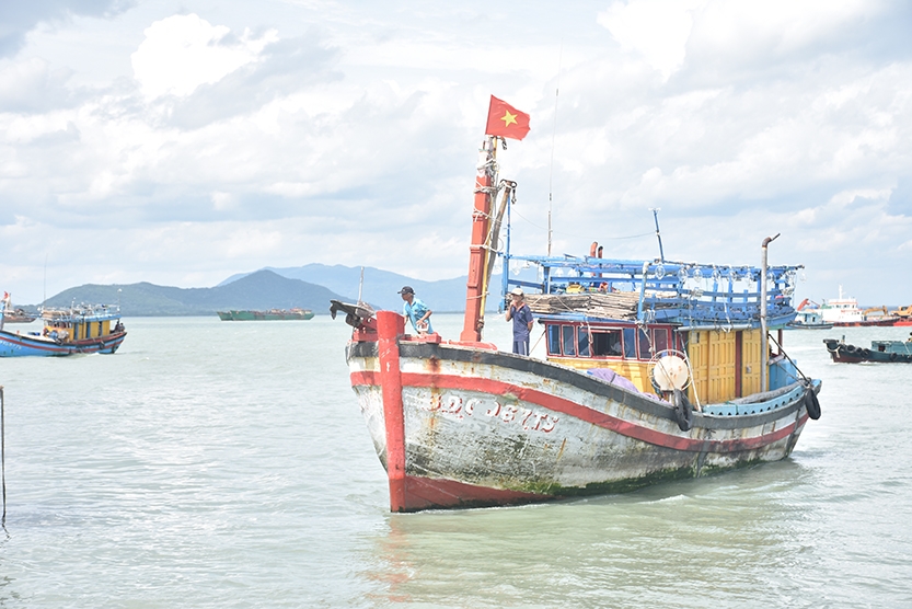 Vũng Tàu: Nhiều tàu câu mực Bình Định đã quay trở lại đánh bắt