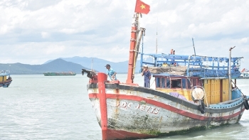 Vũng Tàu: Nhiều tàu câu mực Bình Định đã quay trở lại đánh bắt