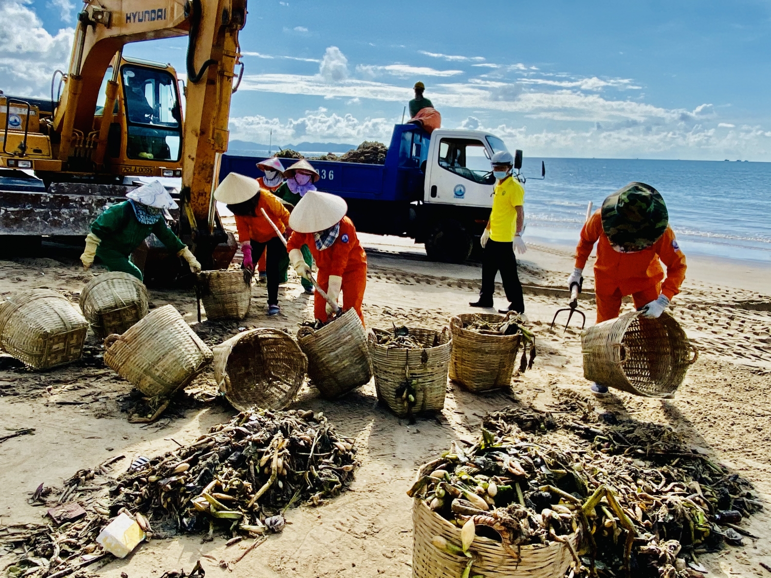 Thu gom 20 tấn rác thải trôi dạt vào bờ biển Vũng Tàu