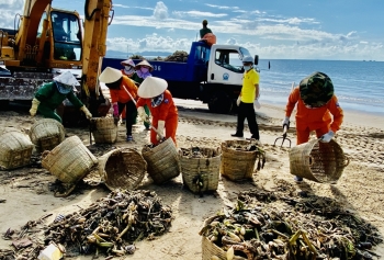Thu gom 20 tấn rác thải trôi dạt vào bờ biển Vũng Tàu