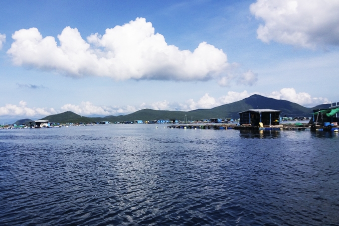 Khánh Hòa: Giữ sạch biển Vân Phong