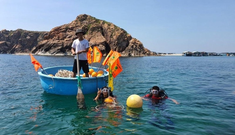 Bình Định: Phục hồi hệ sinh thái rạn san hô, phát triển du lịch biển