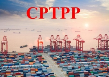 Quy định lập hồ sơ mời thầu dịch vụ tư vấn gói thầu thuộc Hiệp định CPTPP