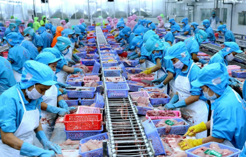 Gần 700 doanh nghiệp thủy sản Việt đạt chuẩn được phép xuất khẩu vào Đài Loan