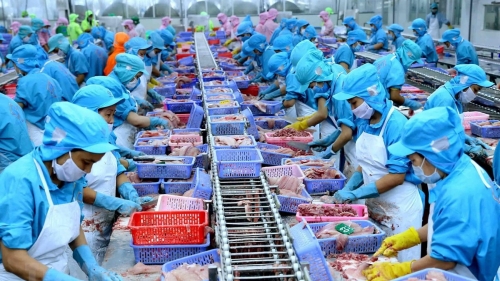 Gần 700 doanh nghiệp thủy sản Việt đạt chuẩn được phép xuất khẩu vào Đài Loan