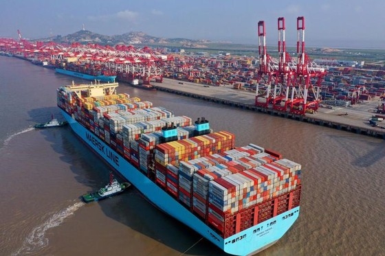 Vận tải biển biến động trước đà lao dốc kinh tế thế giới