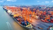 Xây dựng cảng xanh - cơ hội phát triển bền vững doanh nghiệp biển