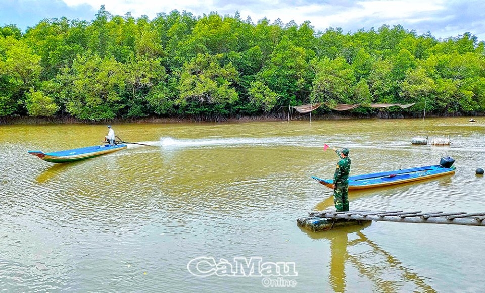 Cà Mau: Giữ bình yên xóm biển