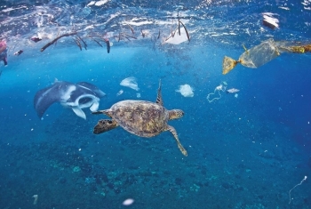 Quản lý rác thải nhựa đại dương để hướng đến nền kinh tế biển xanh