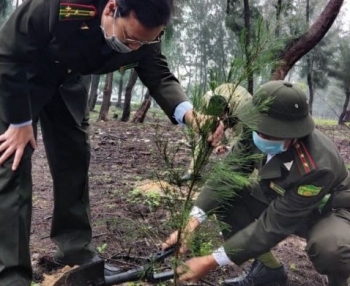 Thừa Thiên Huế: Bảo vệ, phát huy rừng trên cát ven biển