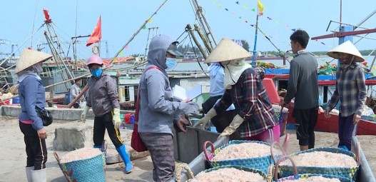 Thái Bình: Đột phá phát triển kinh tế biển