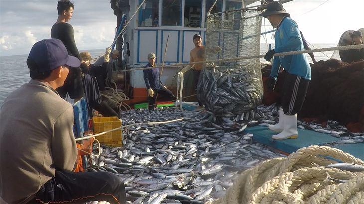 Khánh Hòa: “Trận địa” bắt cá trên vùng biển Trường Sa