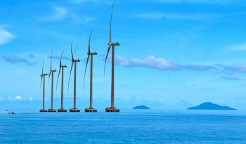 Cà Mau: Luồng gió mới từ biển