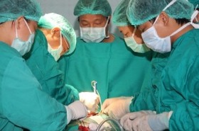 Lần đầu tiên ở Việt Nam: Bác sĩ mổ tim, bệnh nhân vẫn nói