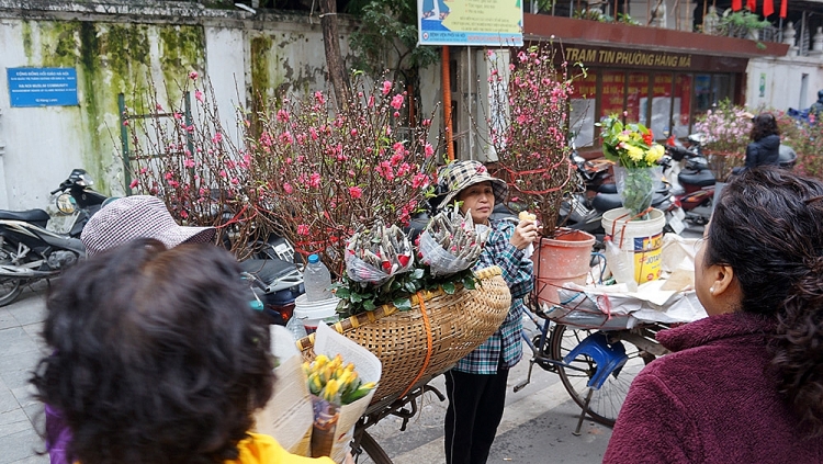 tet den ghe cho hoa truyen thong cua nguoi ha noi